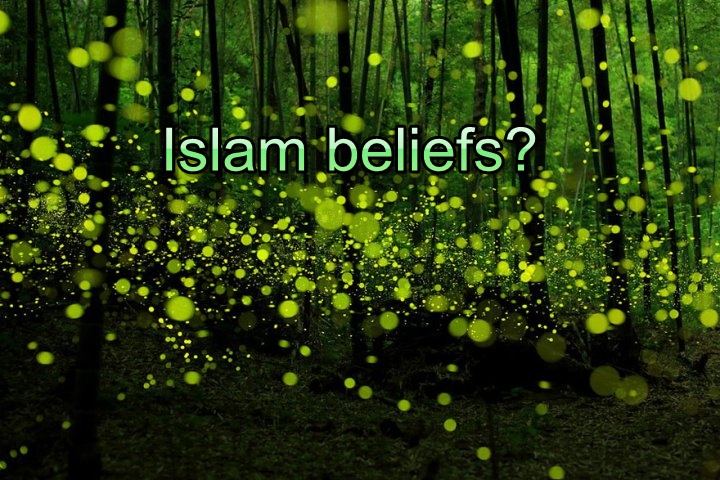 Top 6 Basic Beliefs of Islam That You Must Know