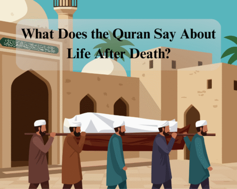 Quran life after death