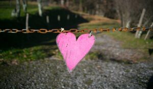 ardent love