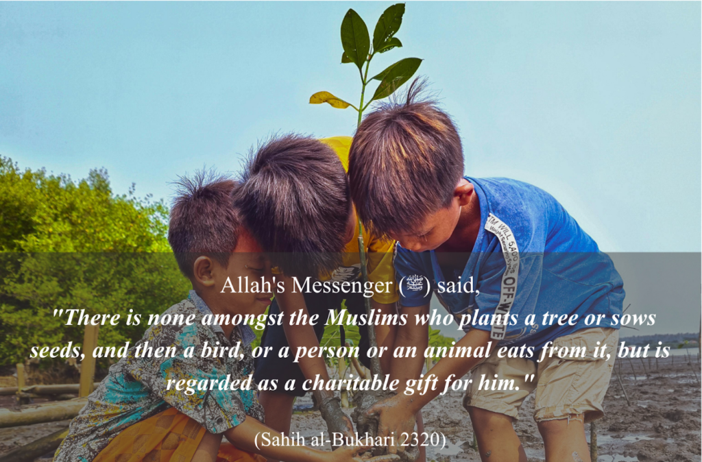 Kids planting a tree inspired by Hadith on charity and environmental care in Islam
